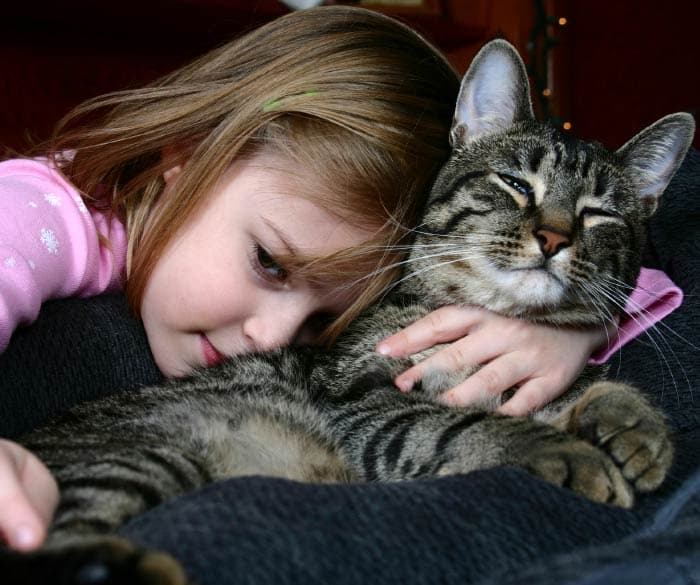Younger girl embracing a cat